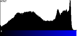 Blue Histogram