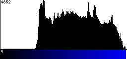 Blue Histogram