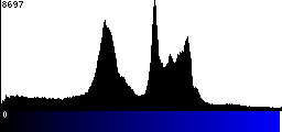 Blue Histogram
