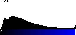 Blue Histogram