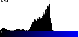 Blue Histogram