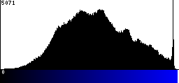 Blue Histogram