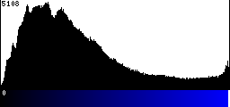 Blue Histogram