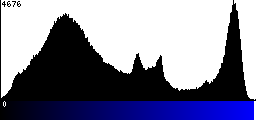 Blue Histogram