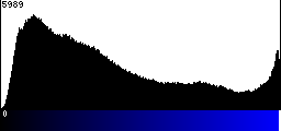 Blue Histogram