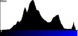 Blue Histogram