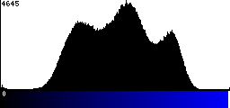 Blue Histogram