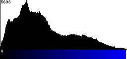 Blue Histogram