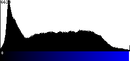 Blue Histogram
