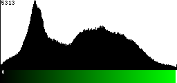 Green Histogram