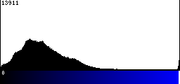 Blue Histogram
