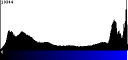 Blue Histogram