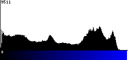 Blue Histogram