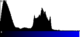 Blue Histogram