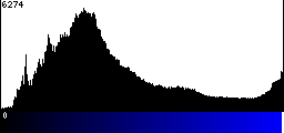 Blue Histogram