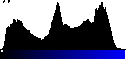 Blue Histogram