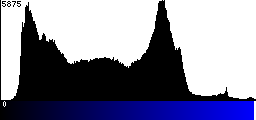 Blue Histogram