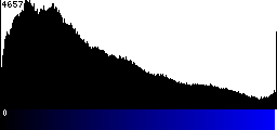 Blue Histogram
