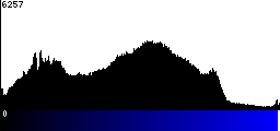 Blue Histogram