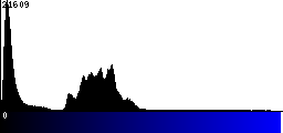 Blue Histogram
