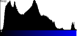 Blue Histogram
