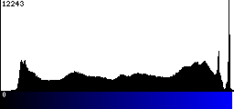 Blue Histogram
