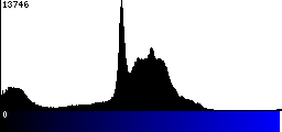 Blue Histogram