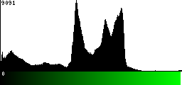 Green Histogram