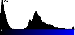 Blue Histogram