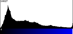 Blue Histogram