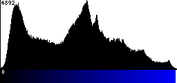 Blue Histogram