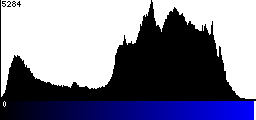 Blue Histogram