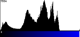 Blue Histogram