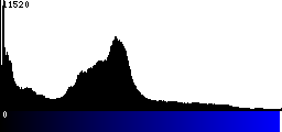 Blue Histogram