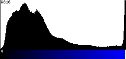 Blue Histogram