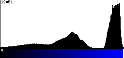 Blue Histogram