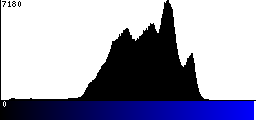 Blue Histogram