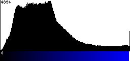 Blue Histogram