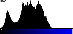 Blue Histogram