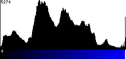 Blue Histogram