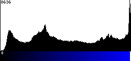 Blue Histogram