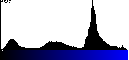 Blue Histogram