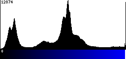 Blue Histogram