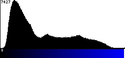 Blue Histogram