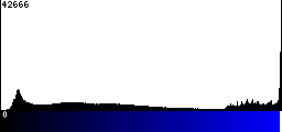 Blue Histogram