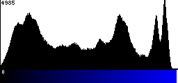 Blue Histogram