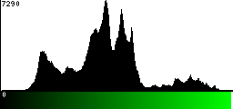 Green Histogram