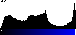 Blue Histogram