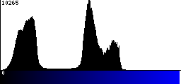 Blue Histogram