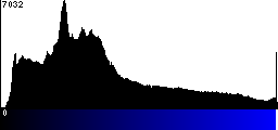 Blue Histogram